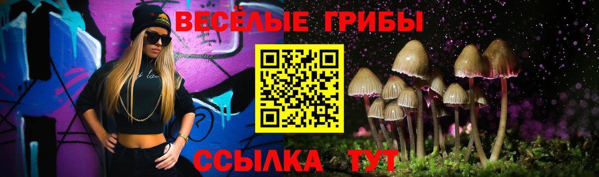 Галлюциногенные грибы мицелий  Вход с VPN  Невинномысск 