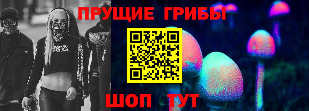 Псилоцибиновые грибы Psilocybe Невинномысск